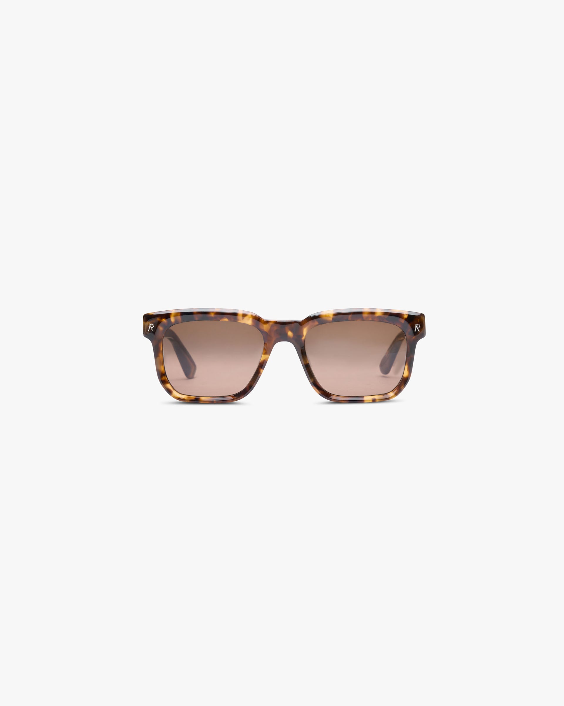 Hampton Sunglasses - Tortoise