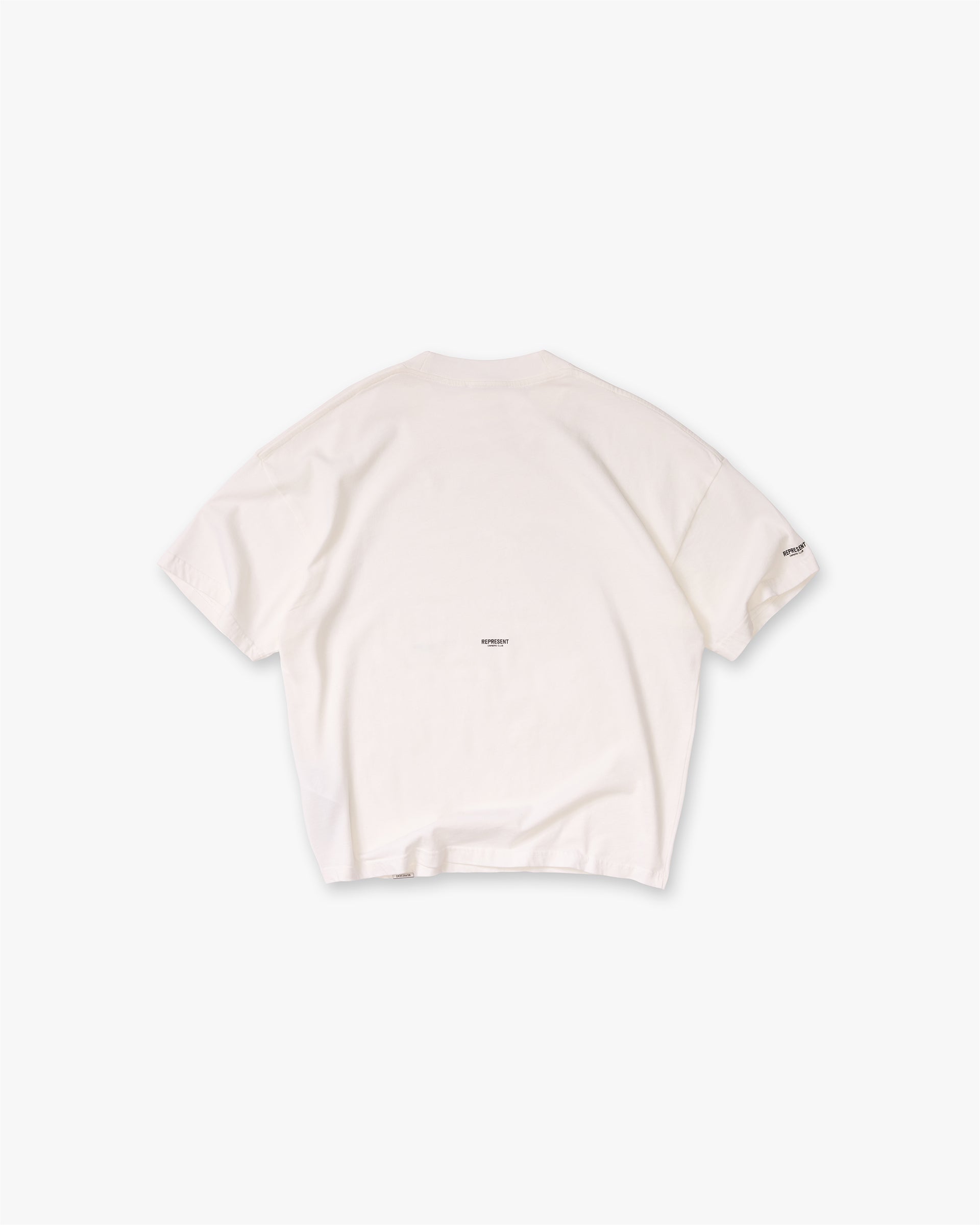 Micro_Owners_Club_T-Shirt_-_Flat_White_02.jpg